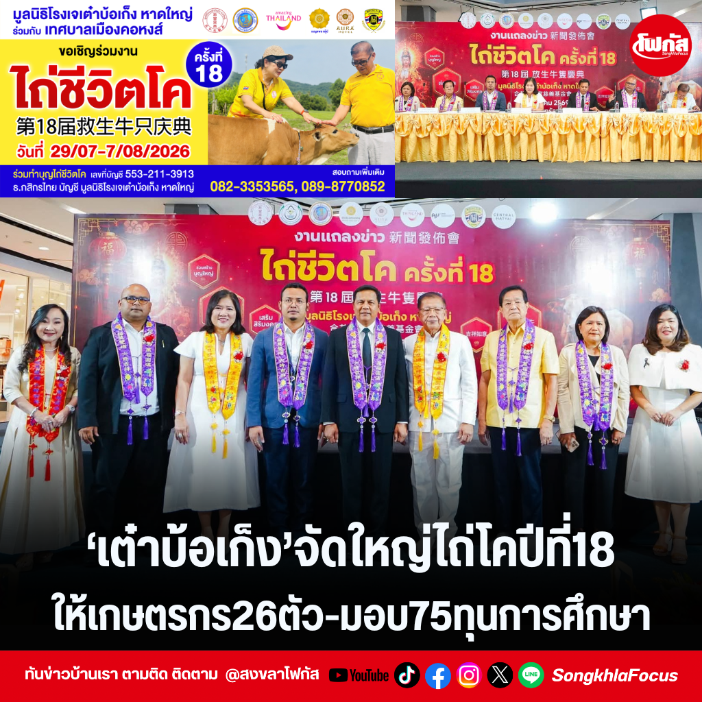 แทมเพลตข่าว 85