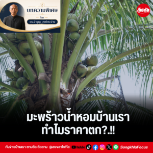 แทมเพลตข่าว 98