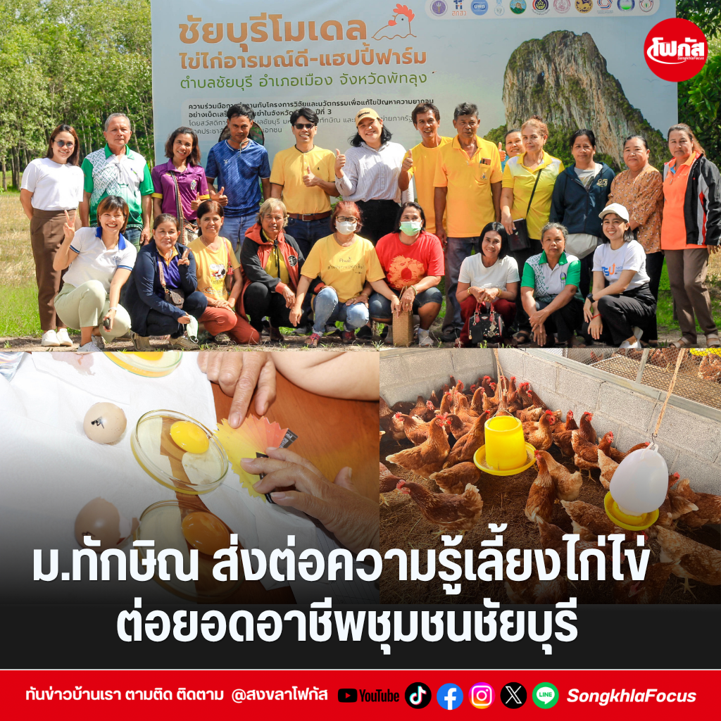 แทมเพลตข่าว 2026 09 01T155514.692