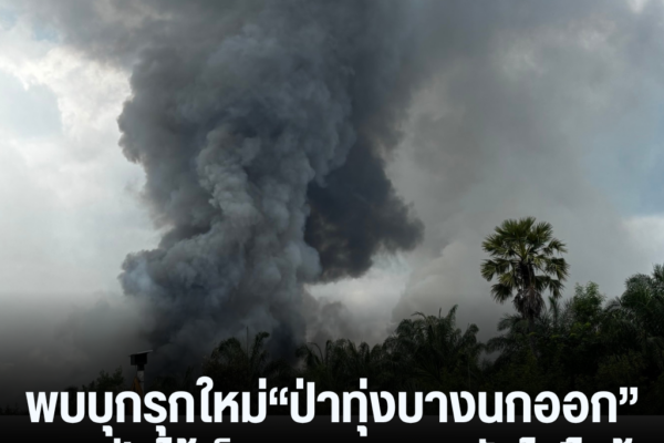 แทมเพลตข่าว 2026 09 03T153908.810