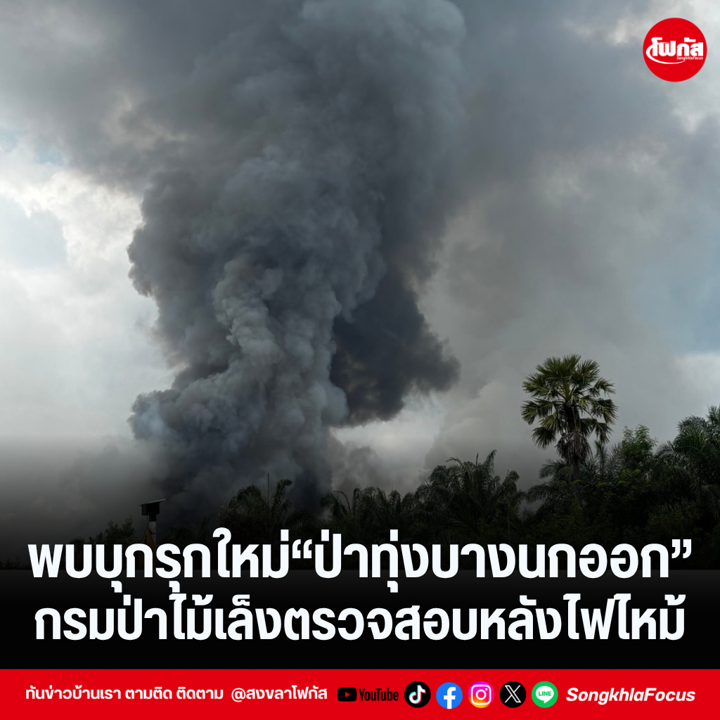 แทมเพลตข่าว 2026 09 03T153908.810