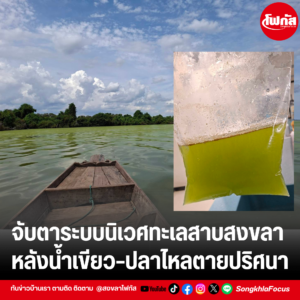 เพิ่มหัวเรื่อง 5