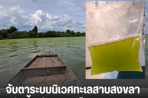 เพิ่มหัวเรื่อง 5
