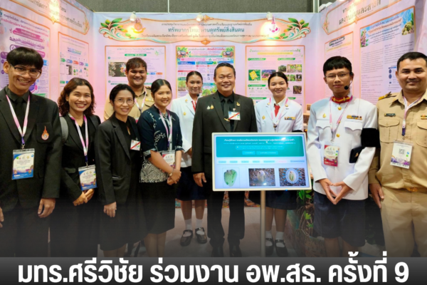 เพิ่มหัวเรื่อง 7